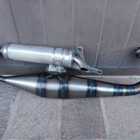 Malossi Team Polini Evolution Piaggio 