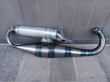 Malossi Team Polini Evolution Piaggio 