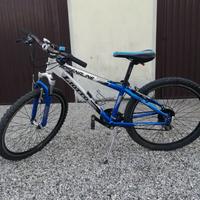 MTB  Liotto  26
