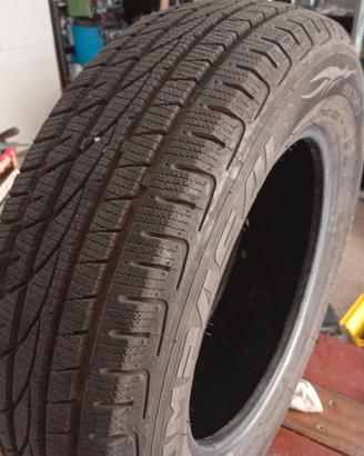 Gomme Compasal