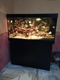 acquario 