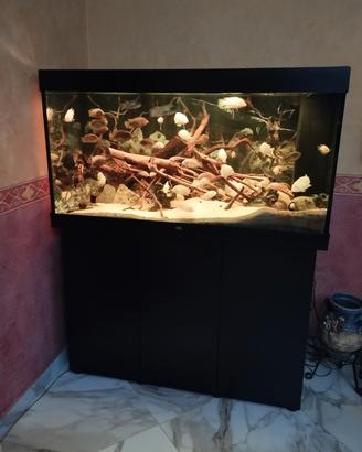 acquario 