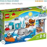 Artico duplo