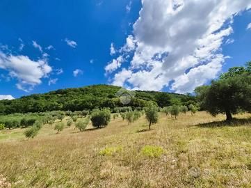 TER. AGRICOLO A GUBBIO