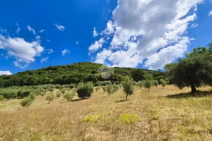 TER. AGRICOLO A GUBBIO