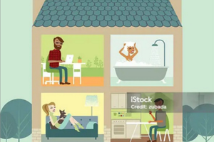 Condivisione appartamento