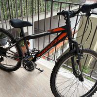 Mountain bike TECNOBIKE 24’’