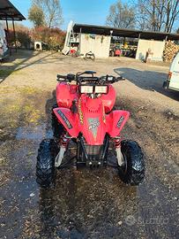 Polaris scrambler 500