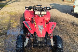 Polaris scrambler 500