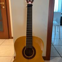 Chitarra eko cs10