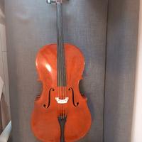 Violoncello