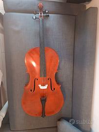 Violoncello