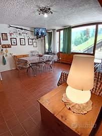 Appartamento con terrazzo e sole