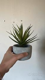 Pianta finta Aloe Vera