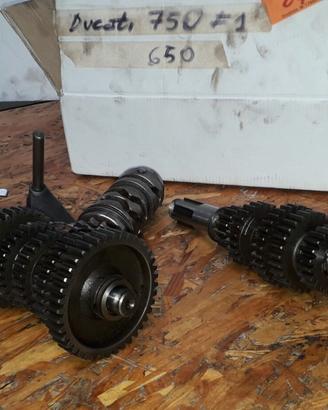 cambio completo DUCATI PANTAH 650