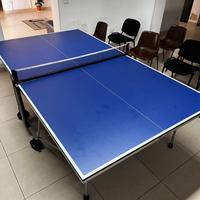 Tavolo da ping pong