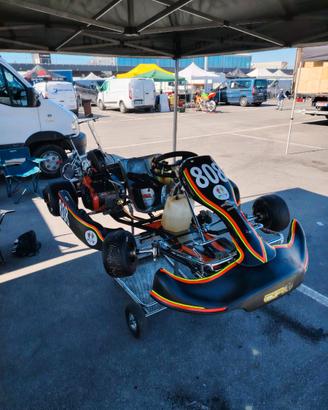 Go kart Briggs & Stratton