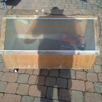 Incubatrice terrario per tartarughe