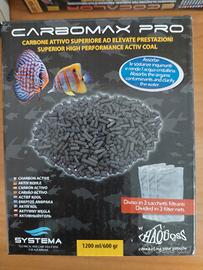 Carbone attivo