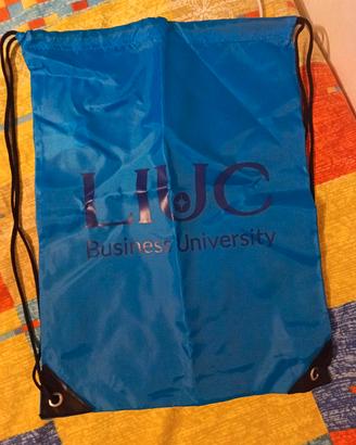 Sacca  LIUC Business University – Blu