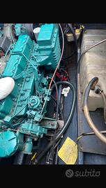 Cranchi Endurance 31