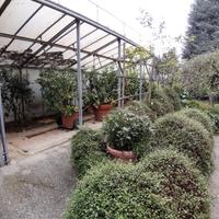Serra 8 x 3 m