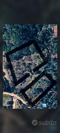 terreno agricolo
