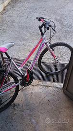 Bici Mountain bike District 24 girl