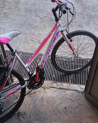 Bici Mountain bike District 24 girl