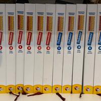 Sostegno recupero e sviluppo Lisciani