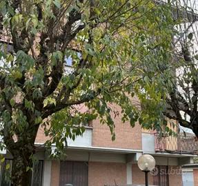 Appartamento a Carpi (MO)