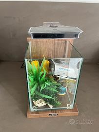 Acquario piccolo zoolux whia