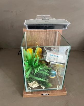 Acquario piccolo zoolux whia