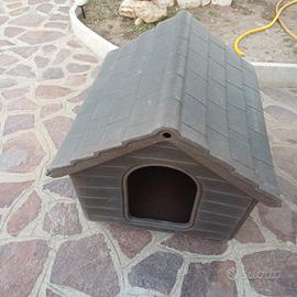 cuccia per cani