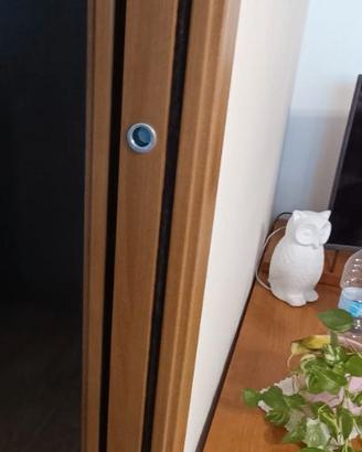 5 porte interne in legno 81x200 + stipiti