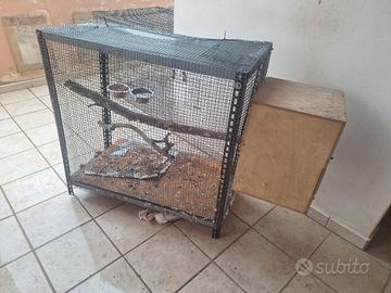 gabbia per pappagalli