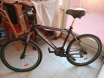 Mountain bike Schiano Evolution 26