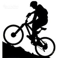Adesivo Mountain Bike MTB per auto