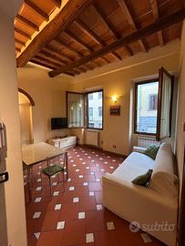 Appartamento bilocale Porta al Prato,no condominio