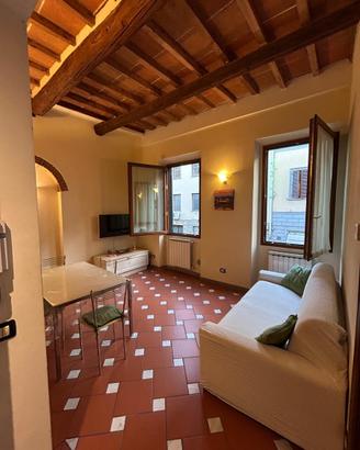 Appartamento bilocale Porta al Prato,no condominio