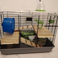 gabbia per roditori come nuova