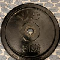 dischi in ghisa 10kg