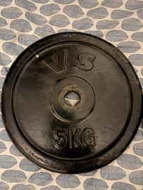 dischi in ghisa 10kg