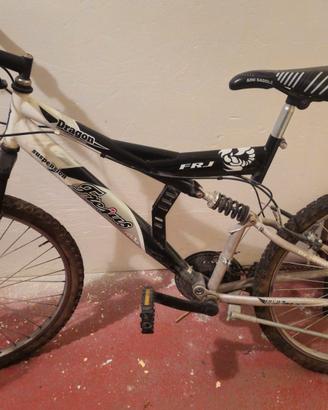 Bicicletta da ragazzo 