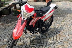 Beta 50 RR usato