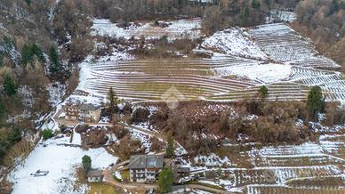 TER. AGRICOLO A PERGINE VALSUGANA