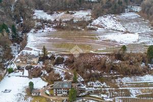 TER. AGRICOLO A PERGINE VALSUGANA