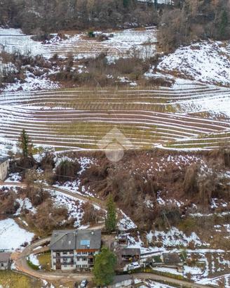 TER. AGRICOLO A PERGINE VALSUGANA