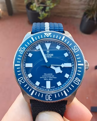 Tudor Pelagos fxd mn22 