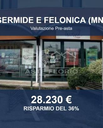 Immobile in asta di 55 m² a Sermide e Felonica